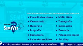 veterinario gratis la paz Hospital Veterinario Semevet