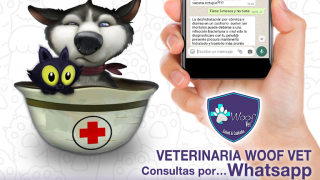 veterinary courses la paz Veterinaria Woof Vet