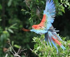 flight hostess courses in la paz Kanoo Tours