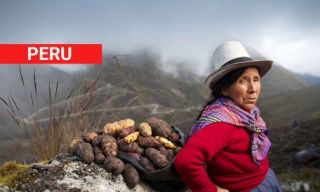 flight hostess courses in la paz Kanoo Tours